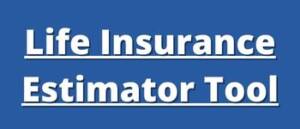 Life Insurance Estimator Tool